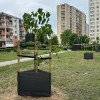 Więcej tlenu na Słonecznym